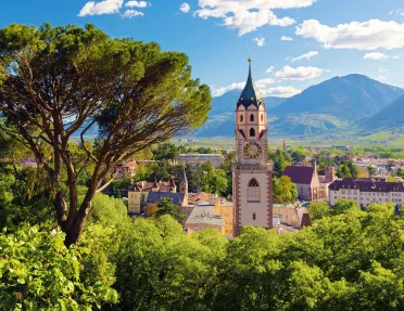 Town surrounded by tall trees, with a church clocktower in the center