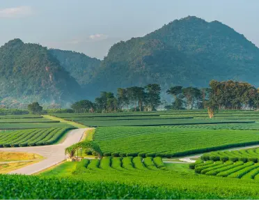 Thailand Biking & Hiking Adventure Tours | Backroads Adventure Travel