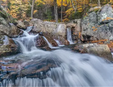 A waterfall in the White Mountain National Forest.