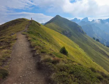 Dirt trail on a tall, grassy mountain