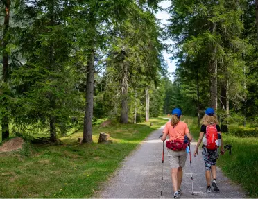 Two hikers walking through a lush forest.
