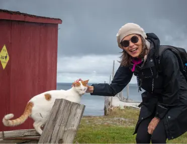 A guest petting a white and brown cat