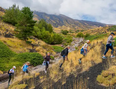 Group of people ascending a dirt trail with large weeds and bushes