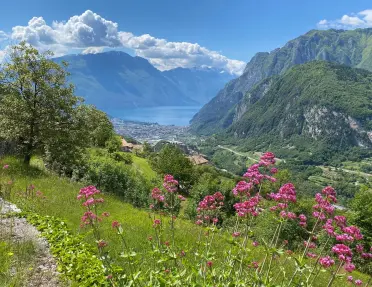 Panoramic view from a hillside overlooking a lakeside town nestled between steep green mountains. Pink wildflowers bloom in the foreground, while the blue lake stretches through the valley under towering peaks and scattered clouds.