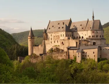 Castle-like building on top of a hill surrounded by tall trees