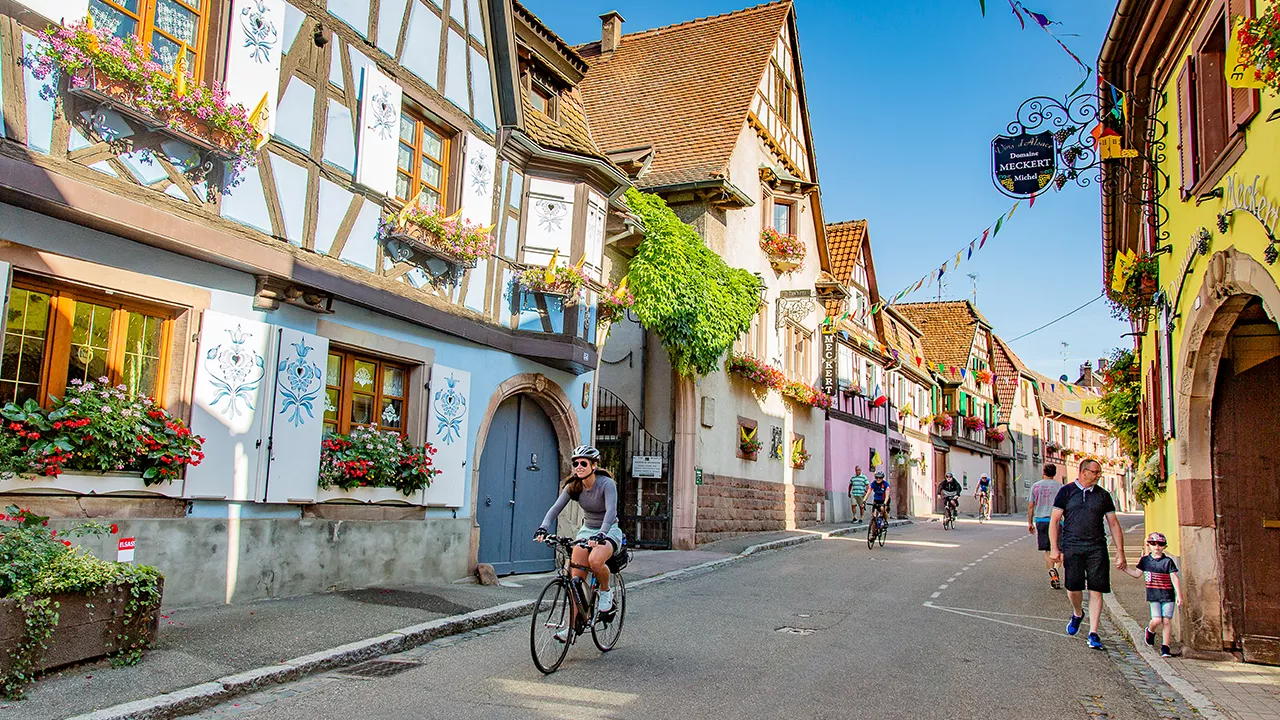 The Backroads Experience 