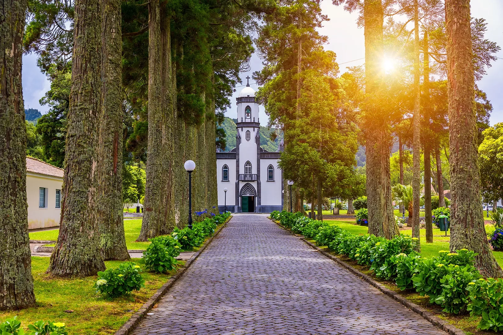 Church of Sao Nicolau with an alley of tall trees and hydrangea flowers in Sete cidades on Sao Miguel island, Azores, Portugal. Parish Church of St. Nicholas, Sete Cidades, Azores.
