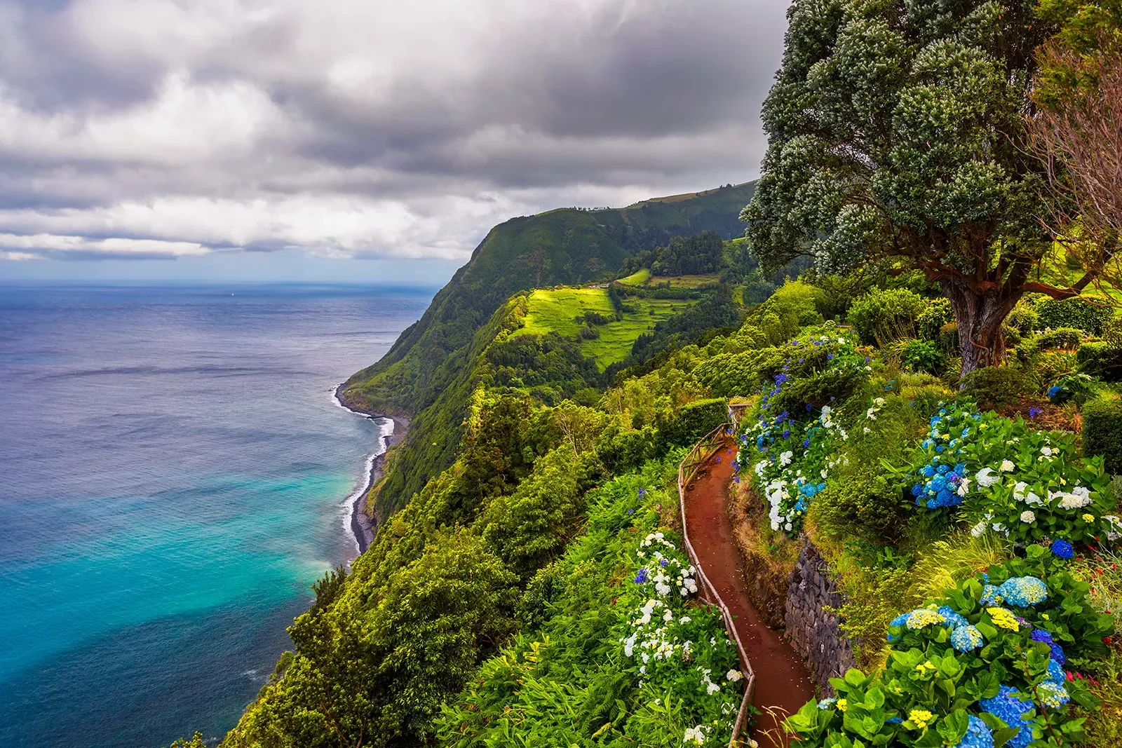 View of flowers on a mountain and the ocean in Miradouro da Ponta do Sossego Nordeste, Sao Miguel, Azores, Portugal.