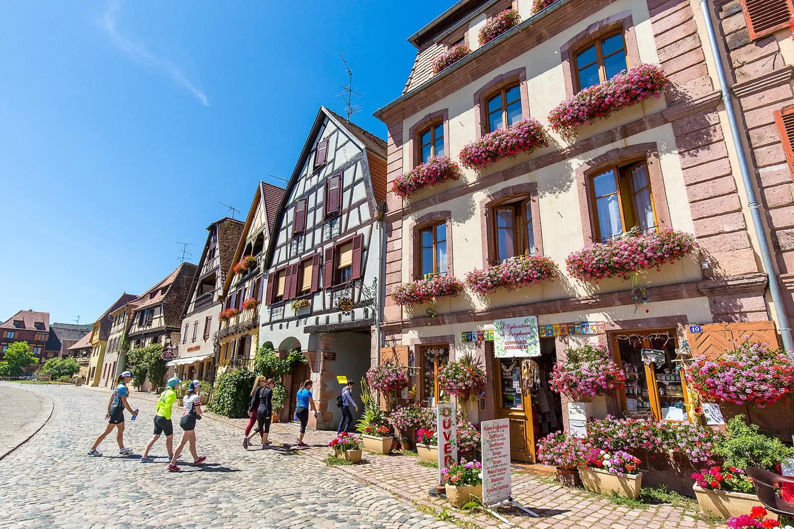 Backroads Guest in Cute Town in Alsace
