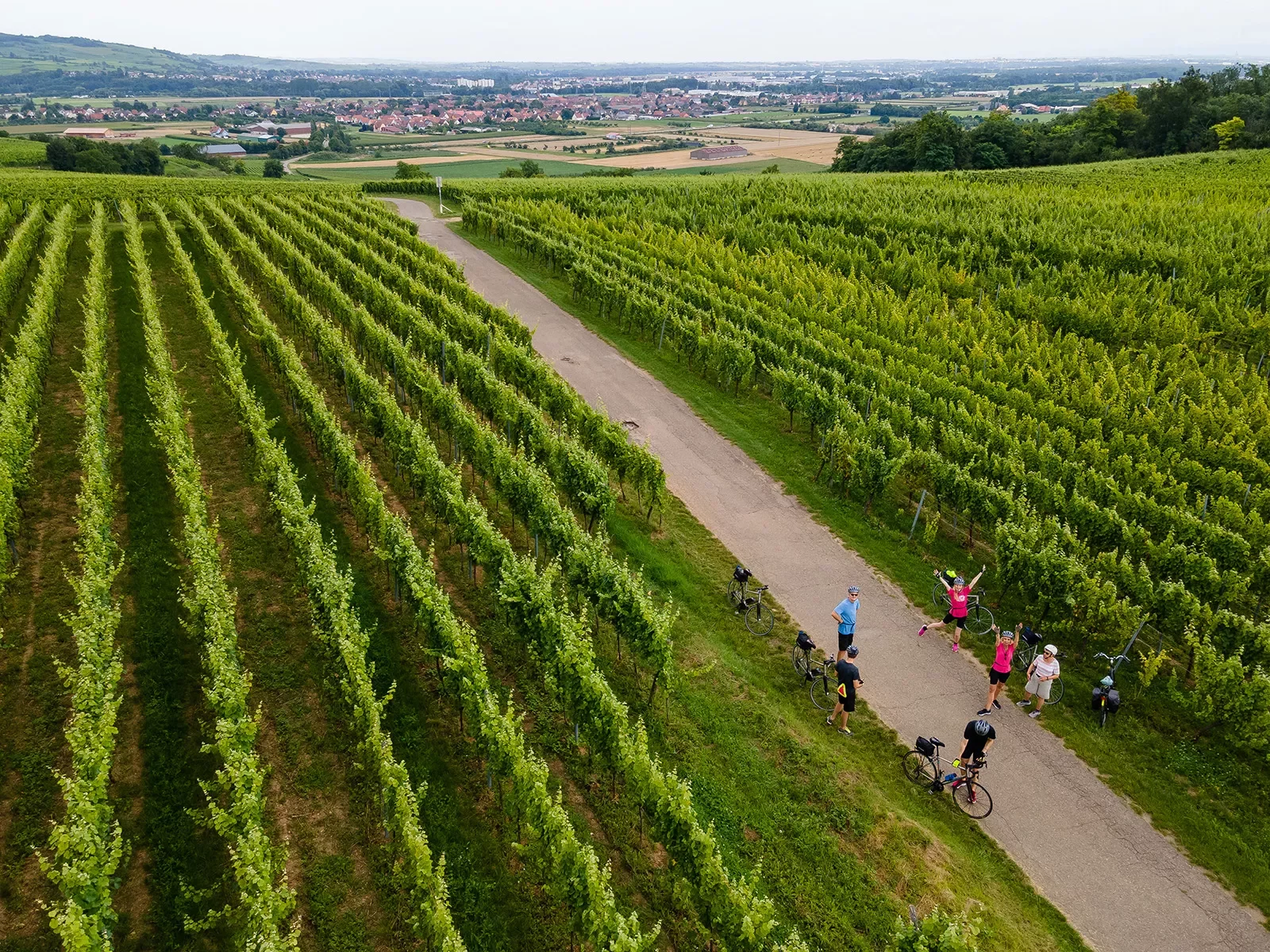 Backroads Guests Stopping in Vineyard in Alsace