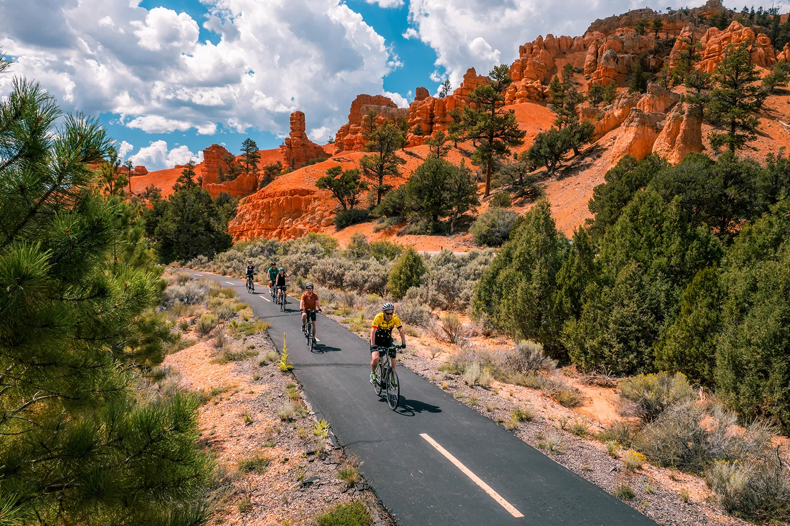 Grand canyon bike tours online