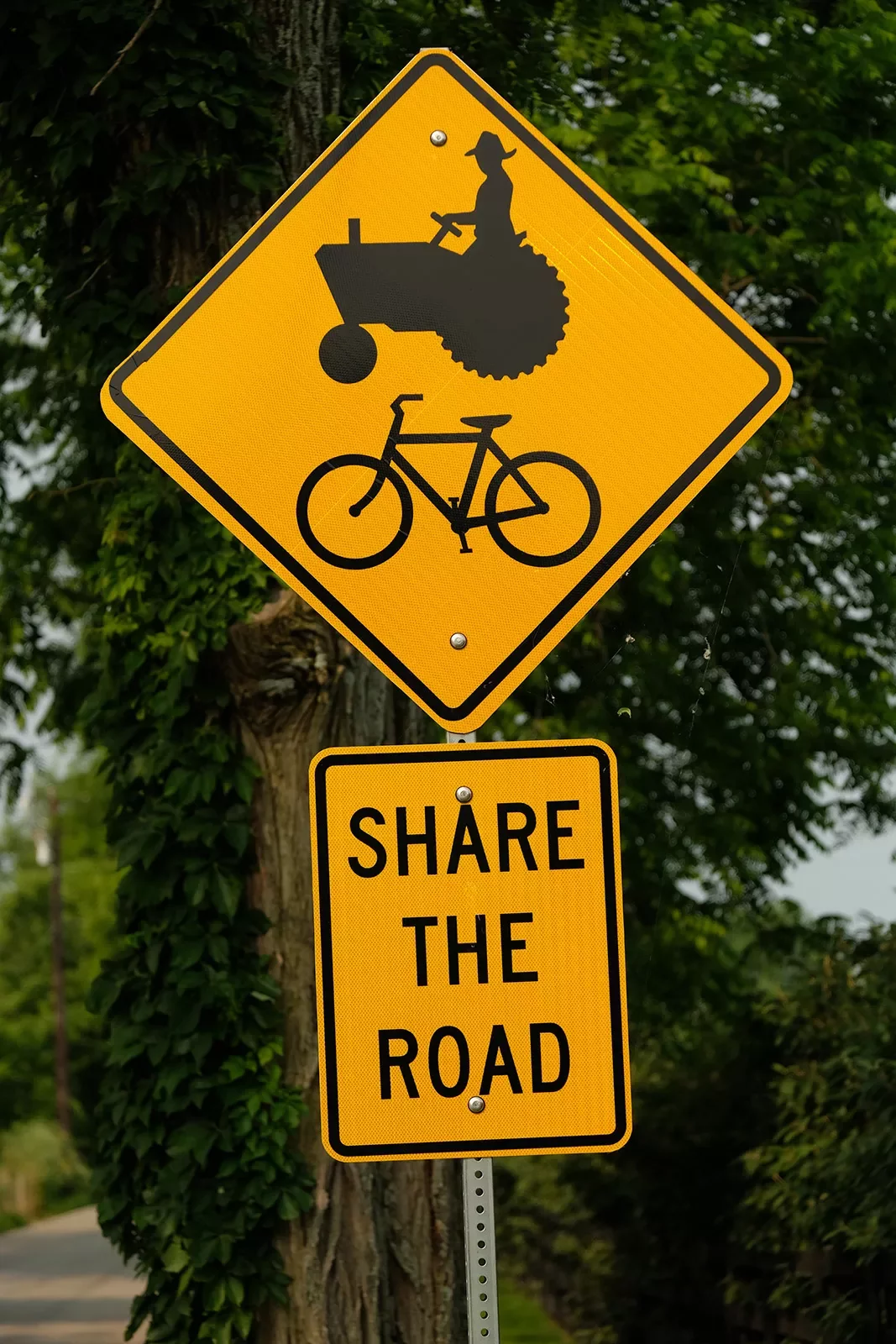 Close-up of &quot;Share the Road&quot; showing cyclist and tractor.