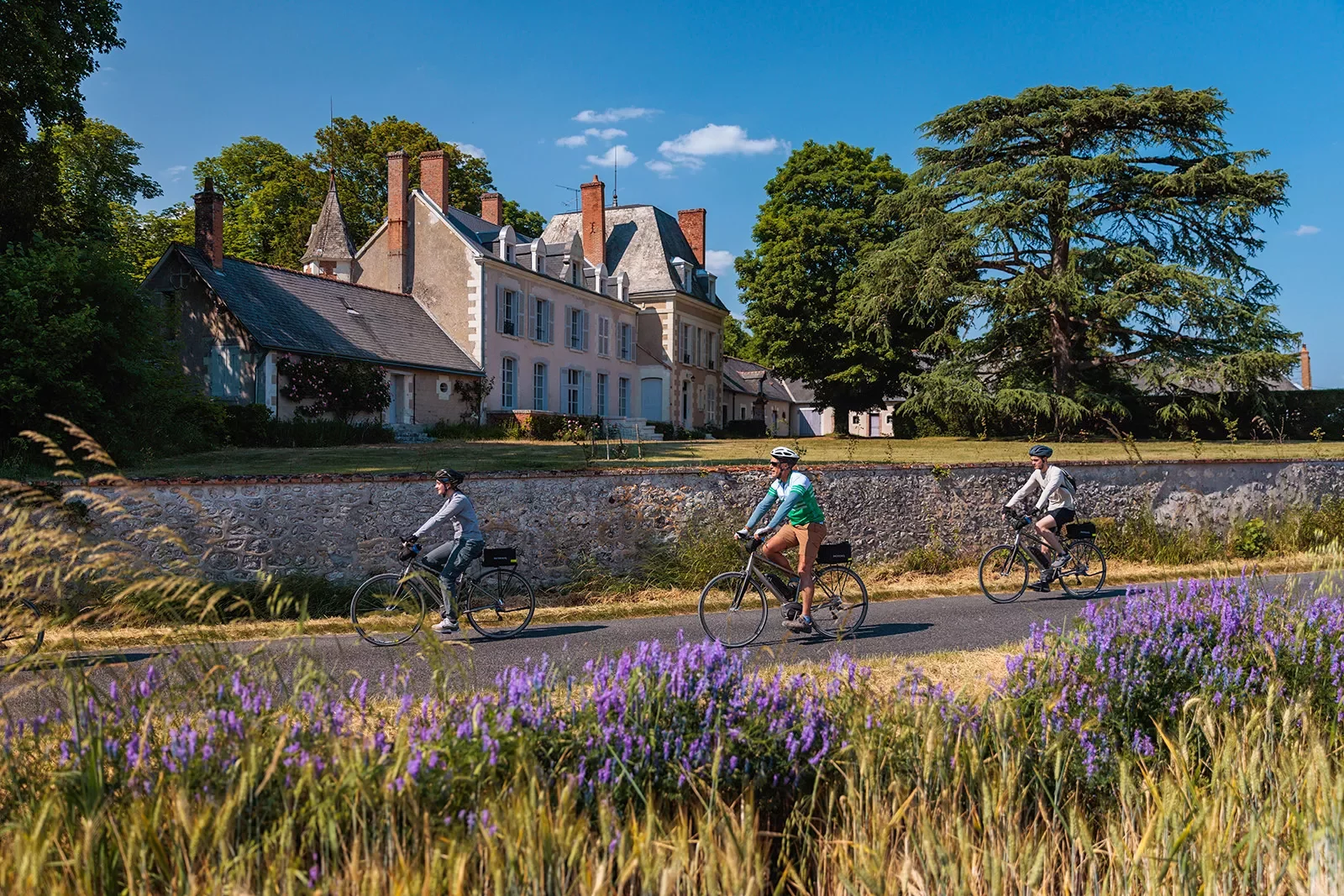Three guests cycling past French estate, lavender bushes all around.