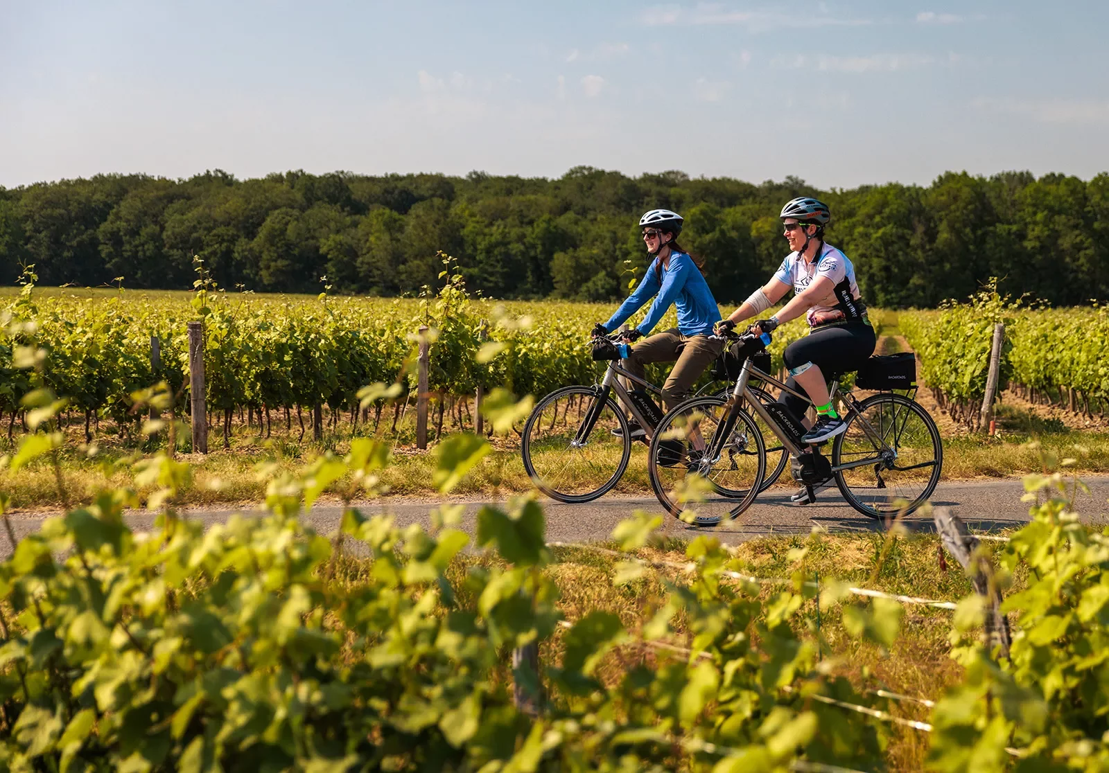 Two bikers cycling on a road through vineyards.