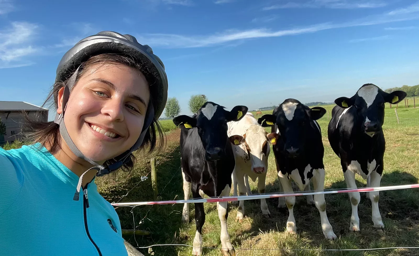Selfie with cows