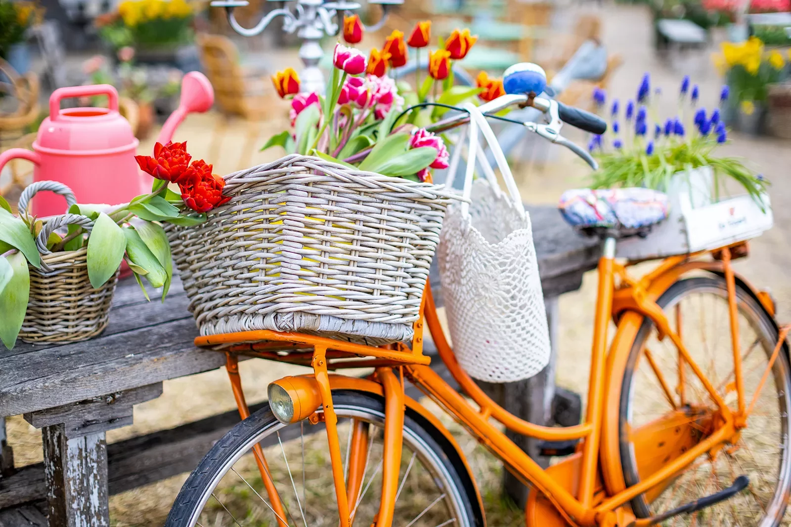 Close-up of orange bike w/ basket, flowers, bench, etc.