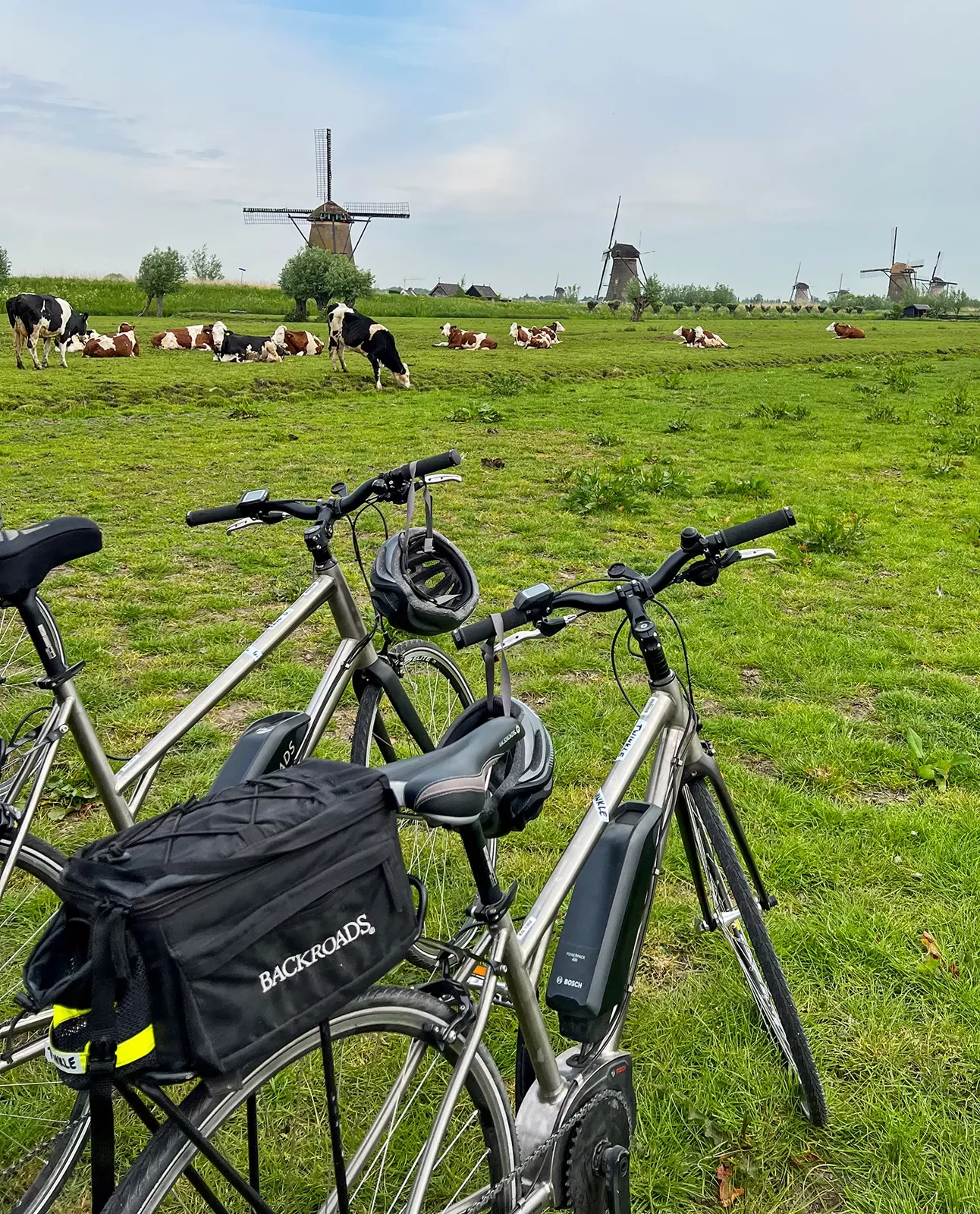 E-Bikes Cows Wind Farms Netherlands