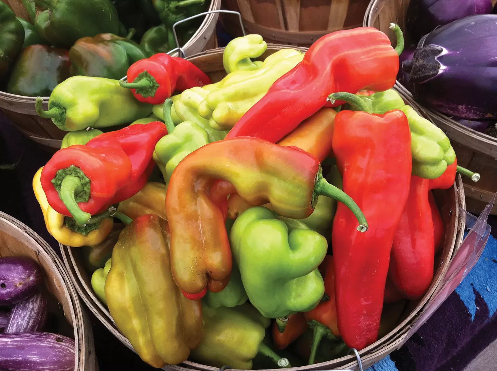 Colorful peppers in basket