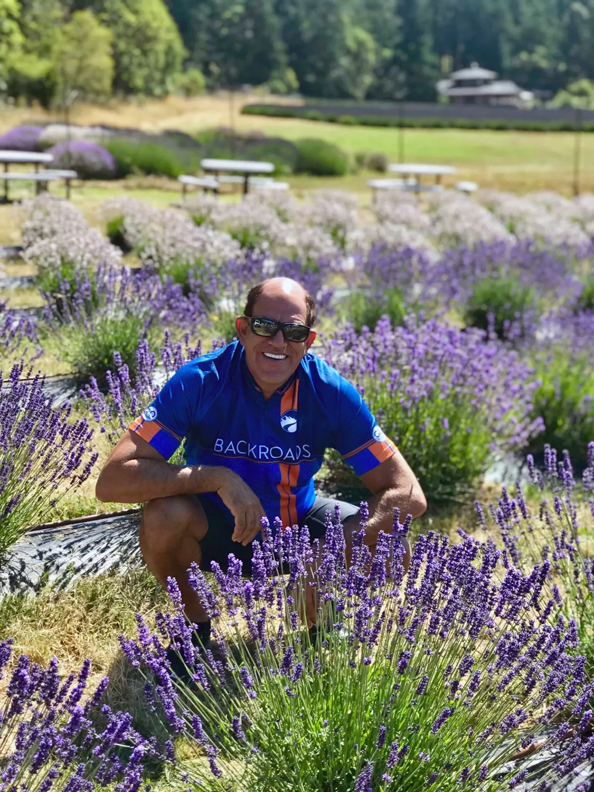 Guest crouching among field of lavender bushes.