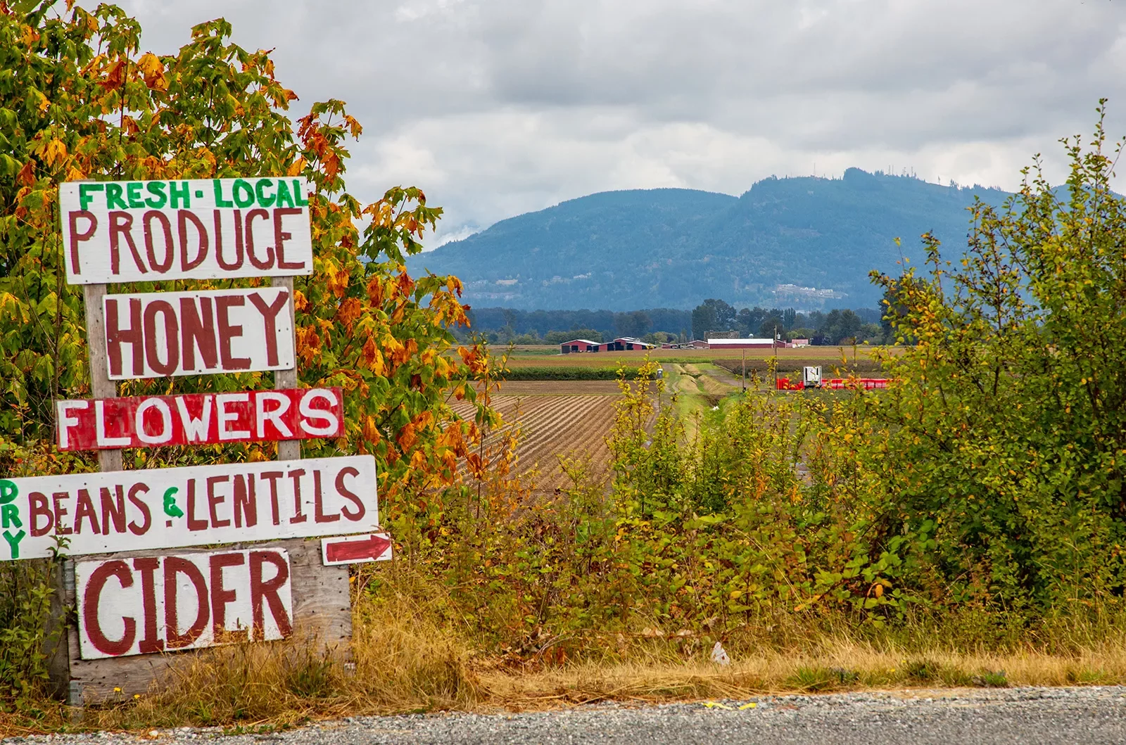&quot;LOCAL PRODUCE&quot; sign, crops and farm in background.