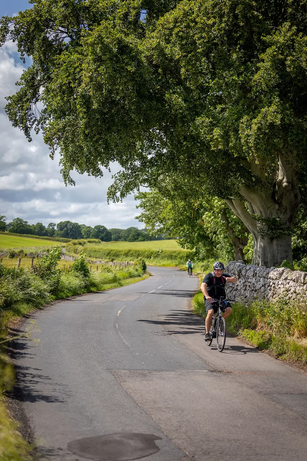 Guests cycling down road, stone wall, large tree to their left.