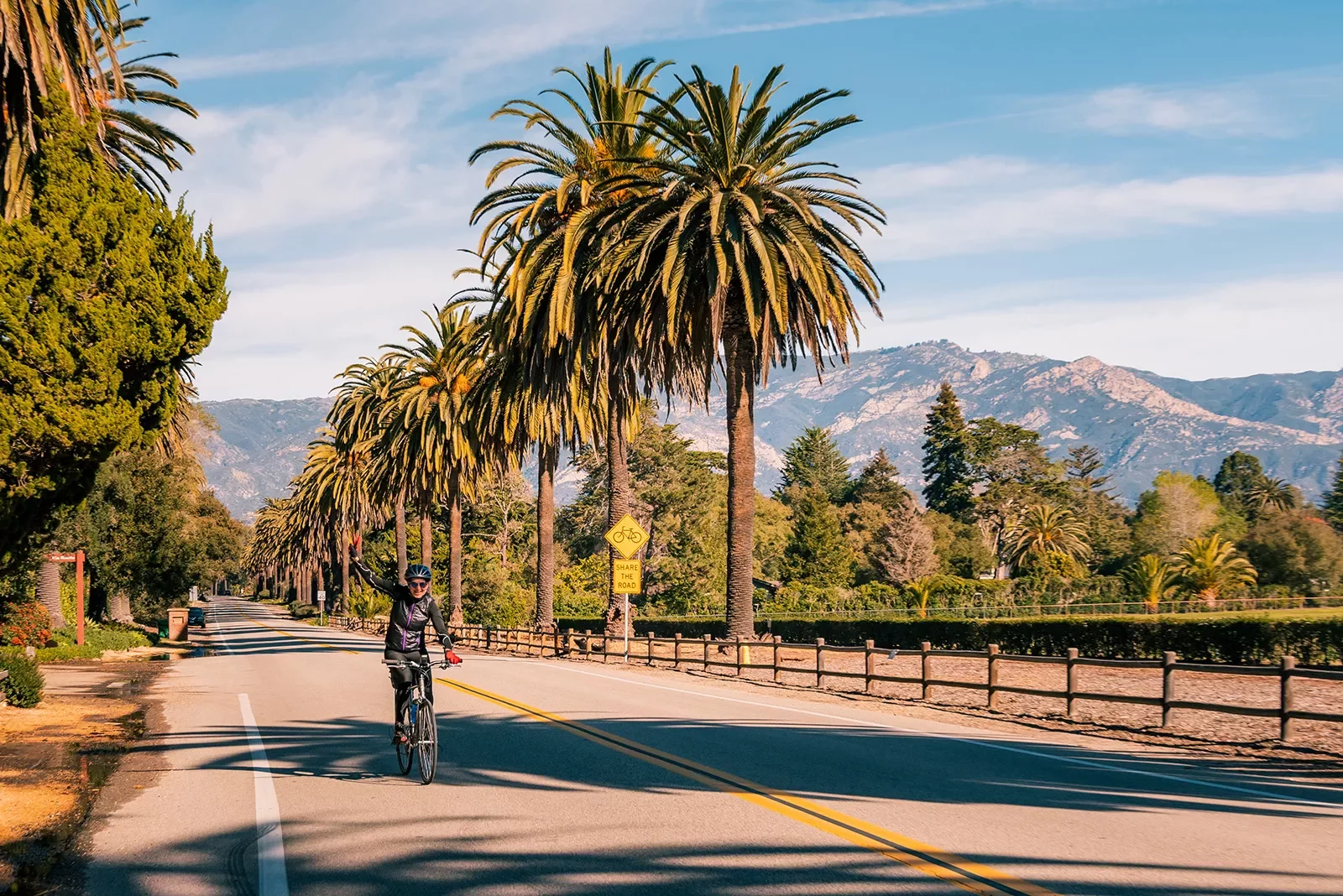 Guest cycling down road, waving to camera, palm trees lining road on  their left.