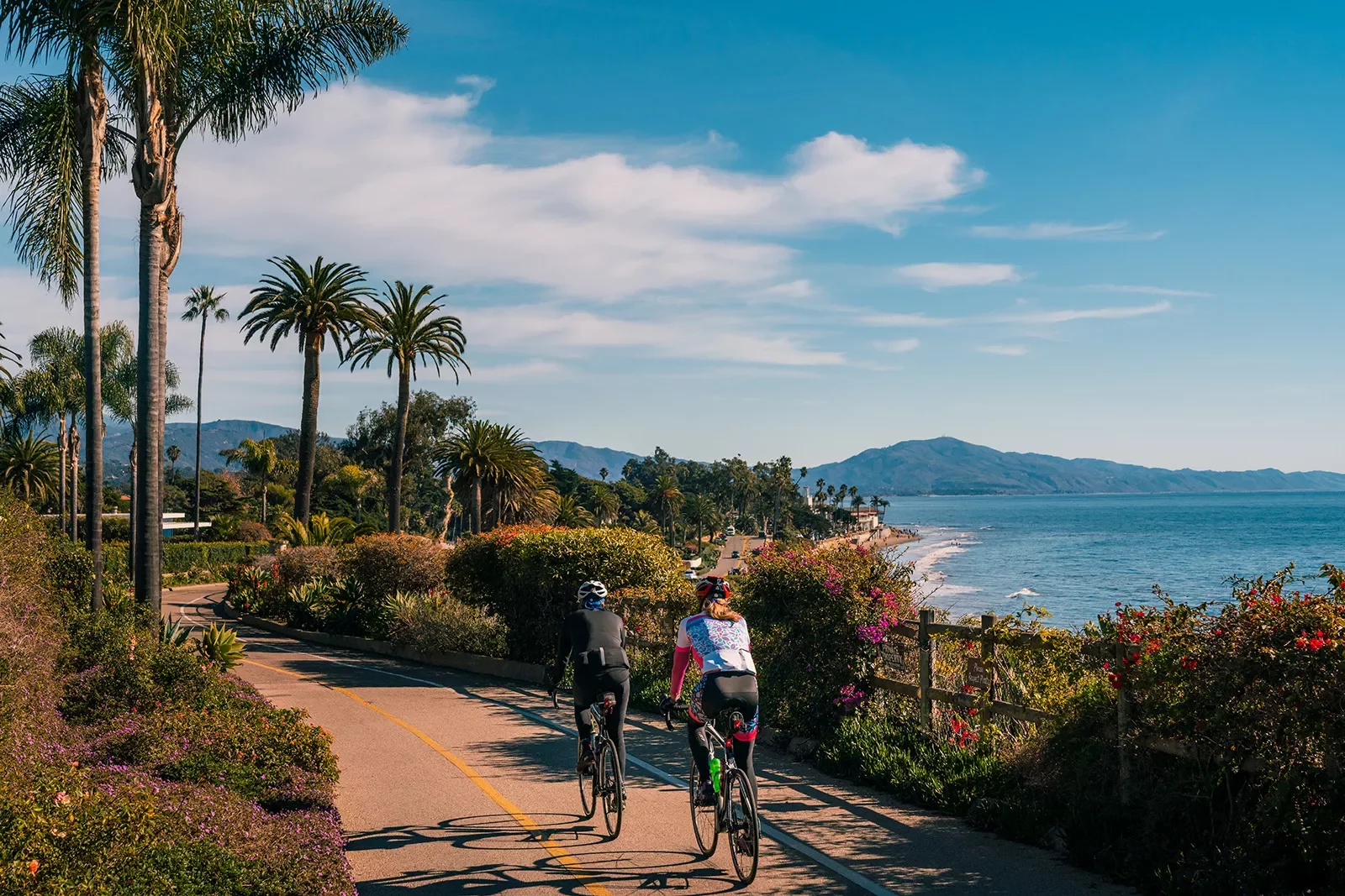 Guests biking along California coast, palm trees beside them.
