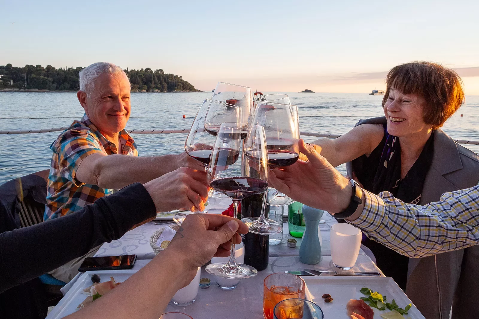 POV shot of guests cheersing wine glasses, ocean, hills behind them.