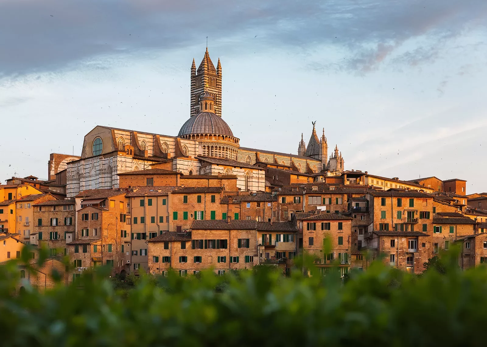 Wide shot of the Duomo di Siena.