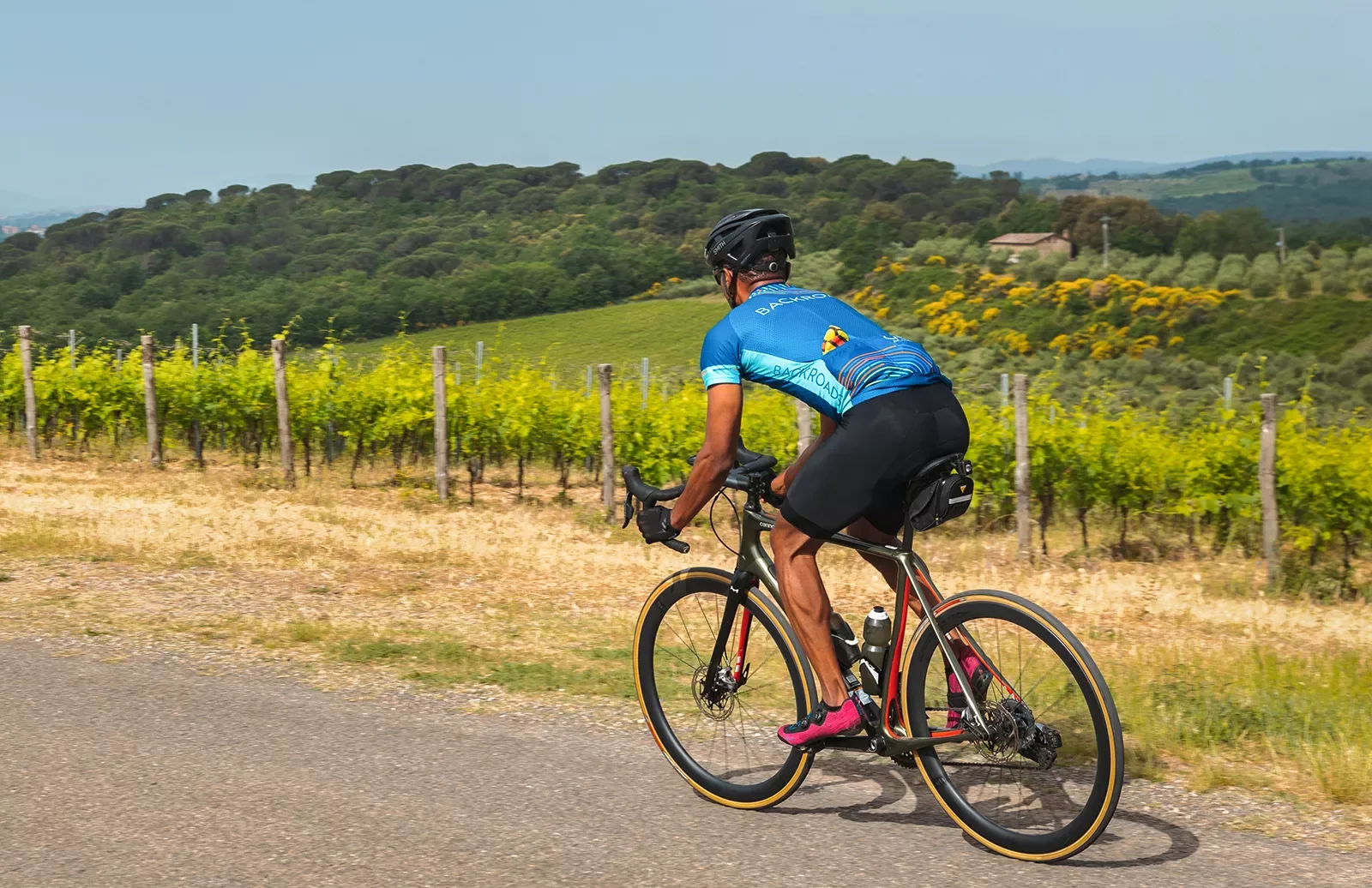 Guest biking past vineyard.