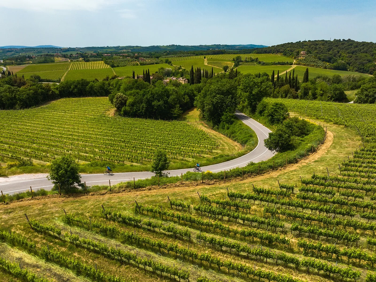 Two guests cycling down vineyard road towards villa.