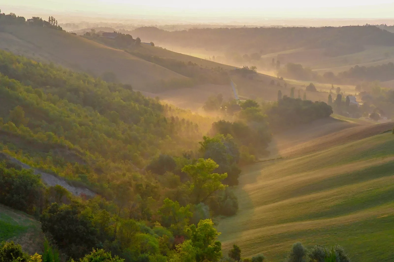 Wide shot of foggy, grassy valley during sunrise.