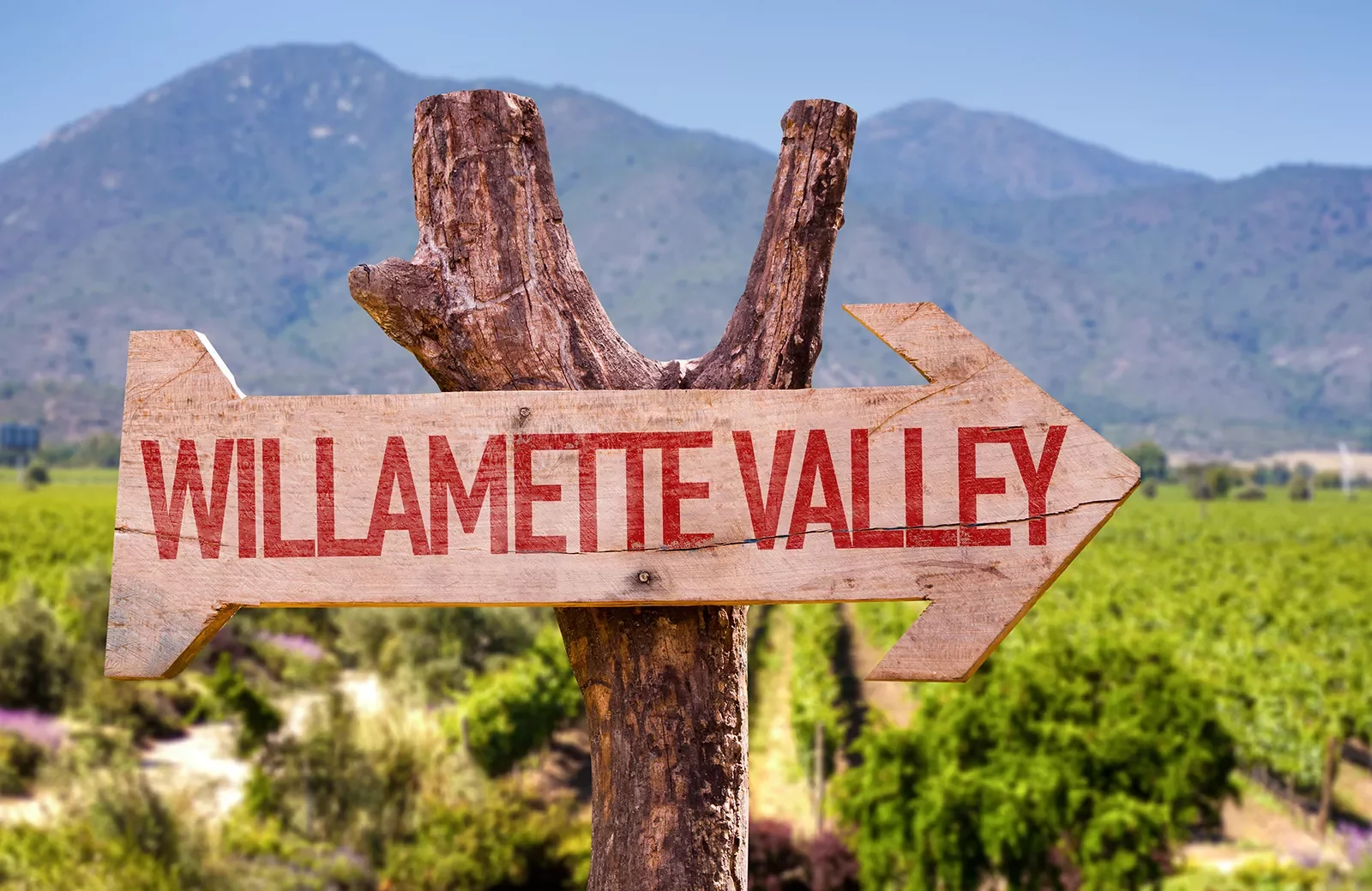 Wooden sign labeled &quot;WILLAMETTE VALLEY&quot;.
