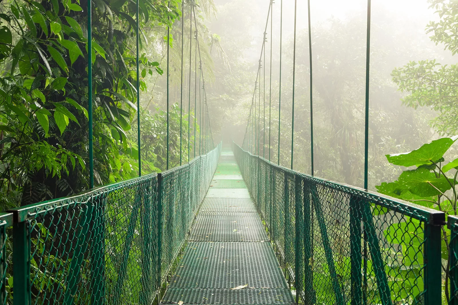Sky Bridge Costa Rica