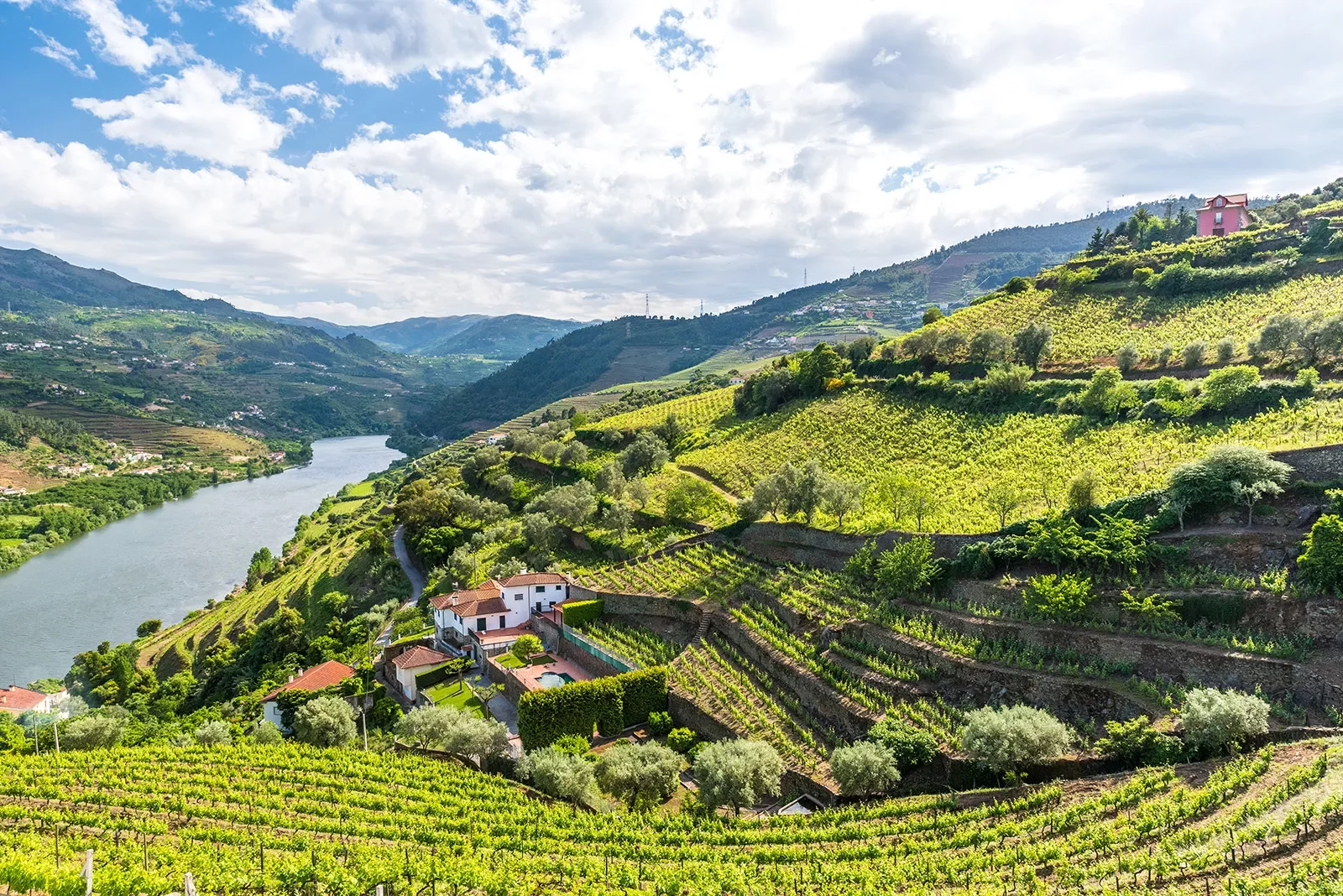 Wide shot of hillside vineyard, winery, river.