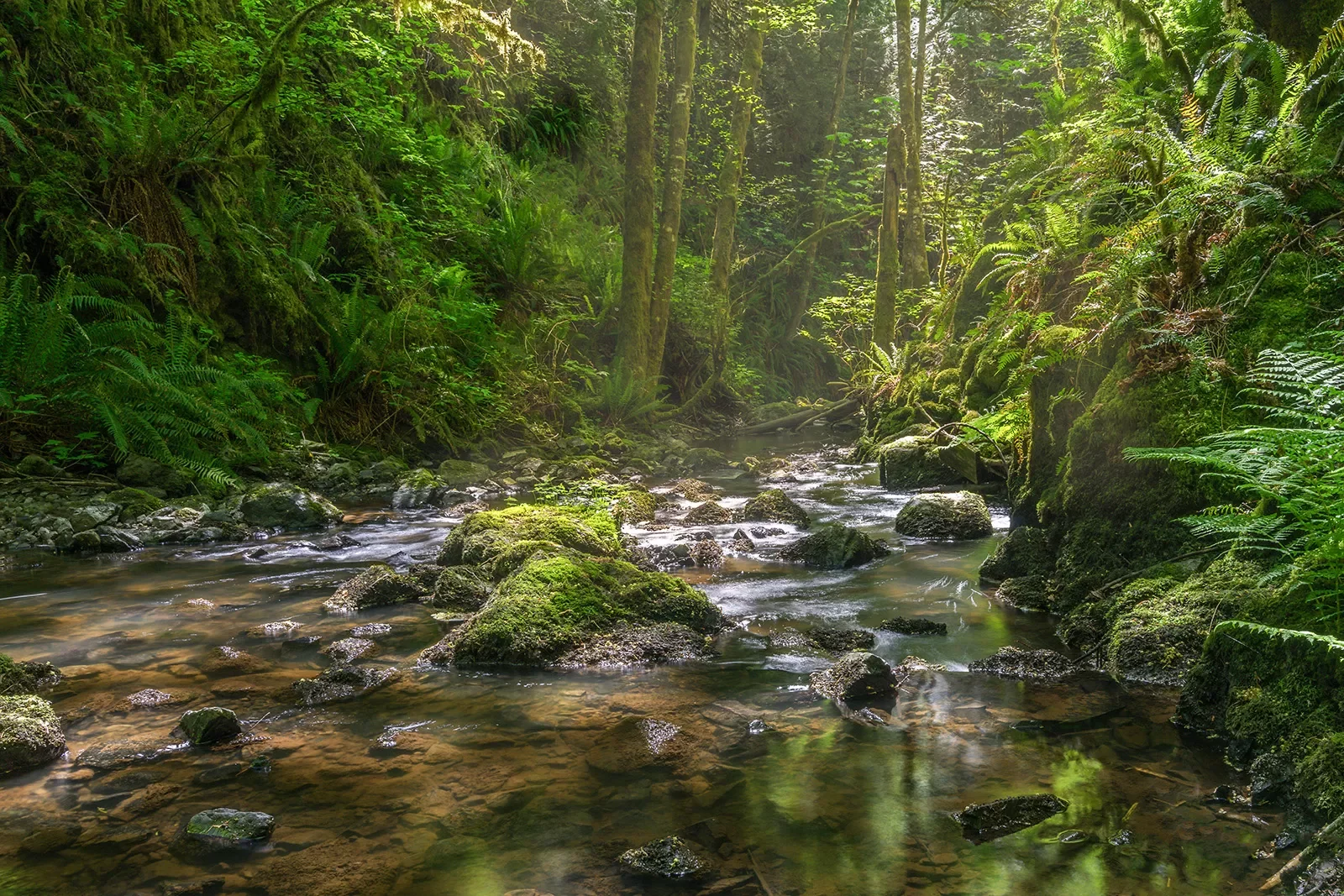 Tod Creek in Gowland Tod Provincial Park, Victoria, British Columbia Canada