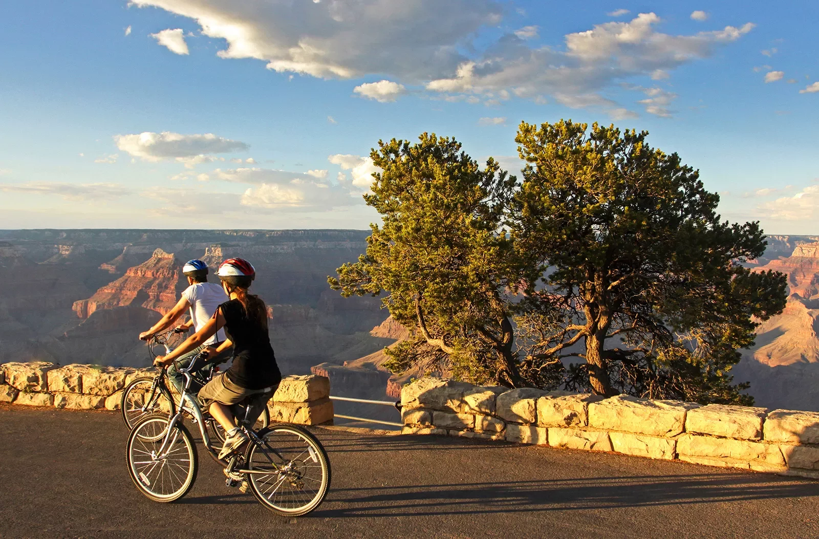 Two cyclists overlooking Grand Canyon.