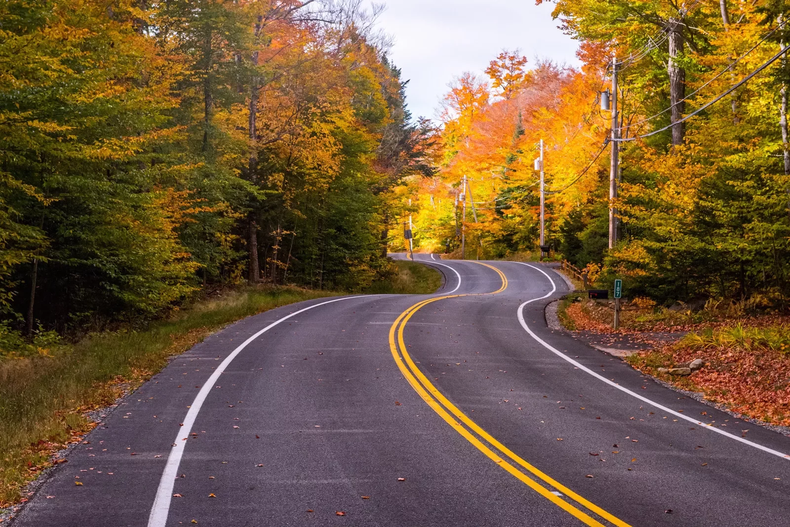 Winding road lined with fall trees in upstate New York.