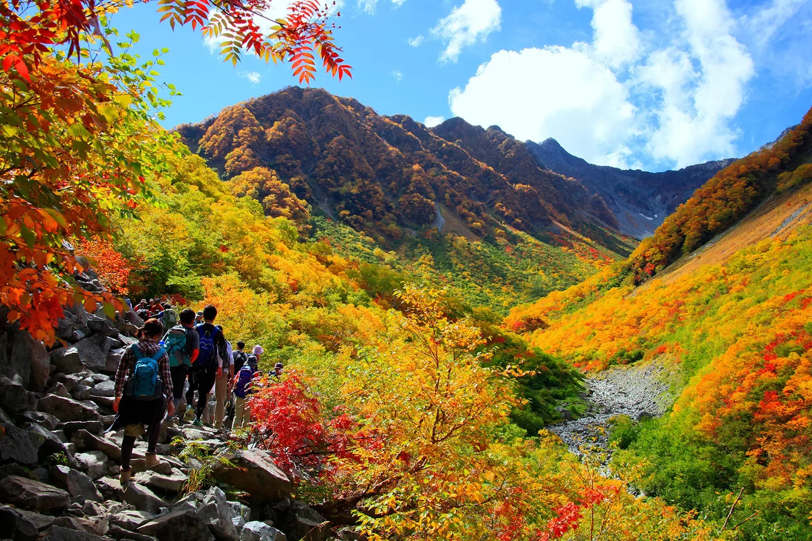 Valley of trees turning from green to yellow to red in a valley in Japan