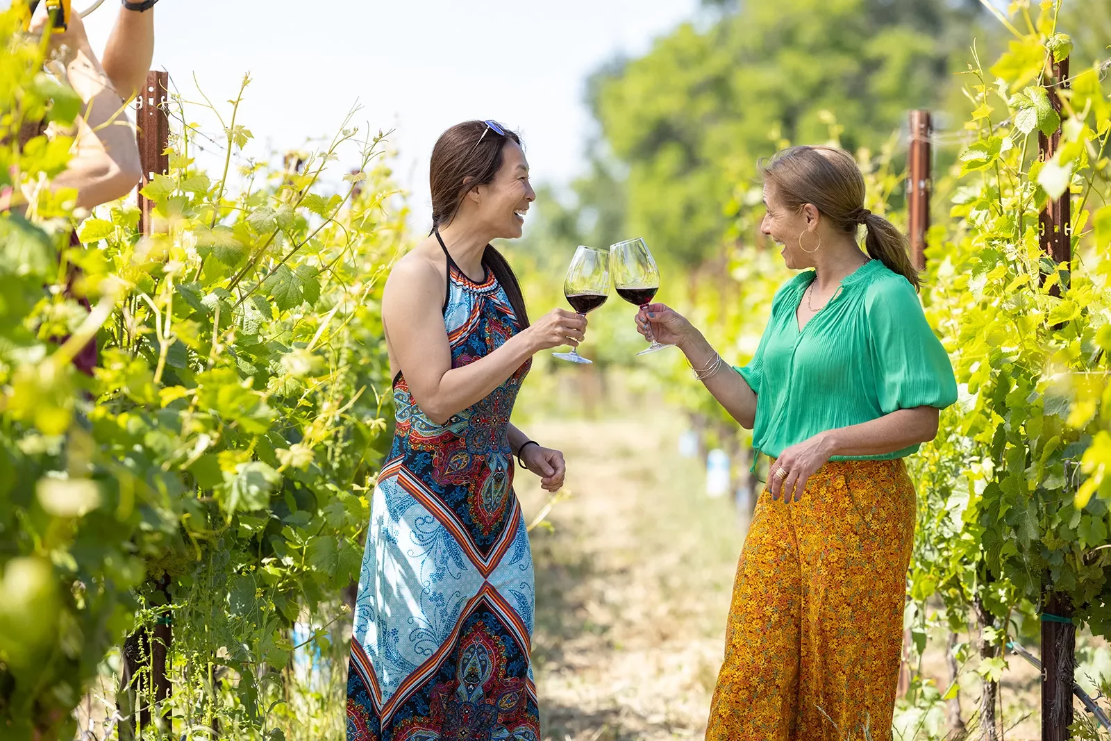 Two guests in vineyard, smiling, cheersing wine glasses.