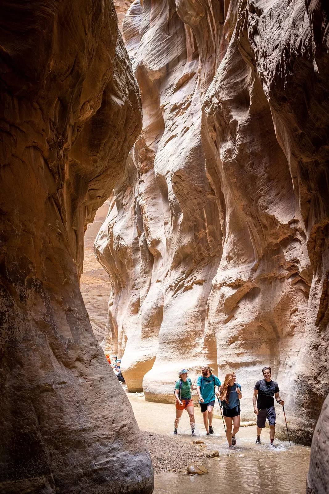 Hikers in the narrows of Zion Canyon