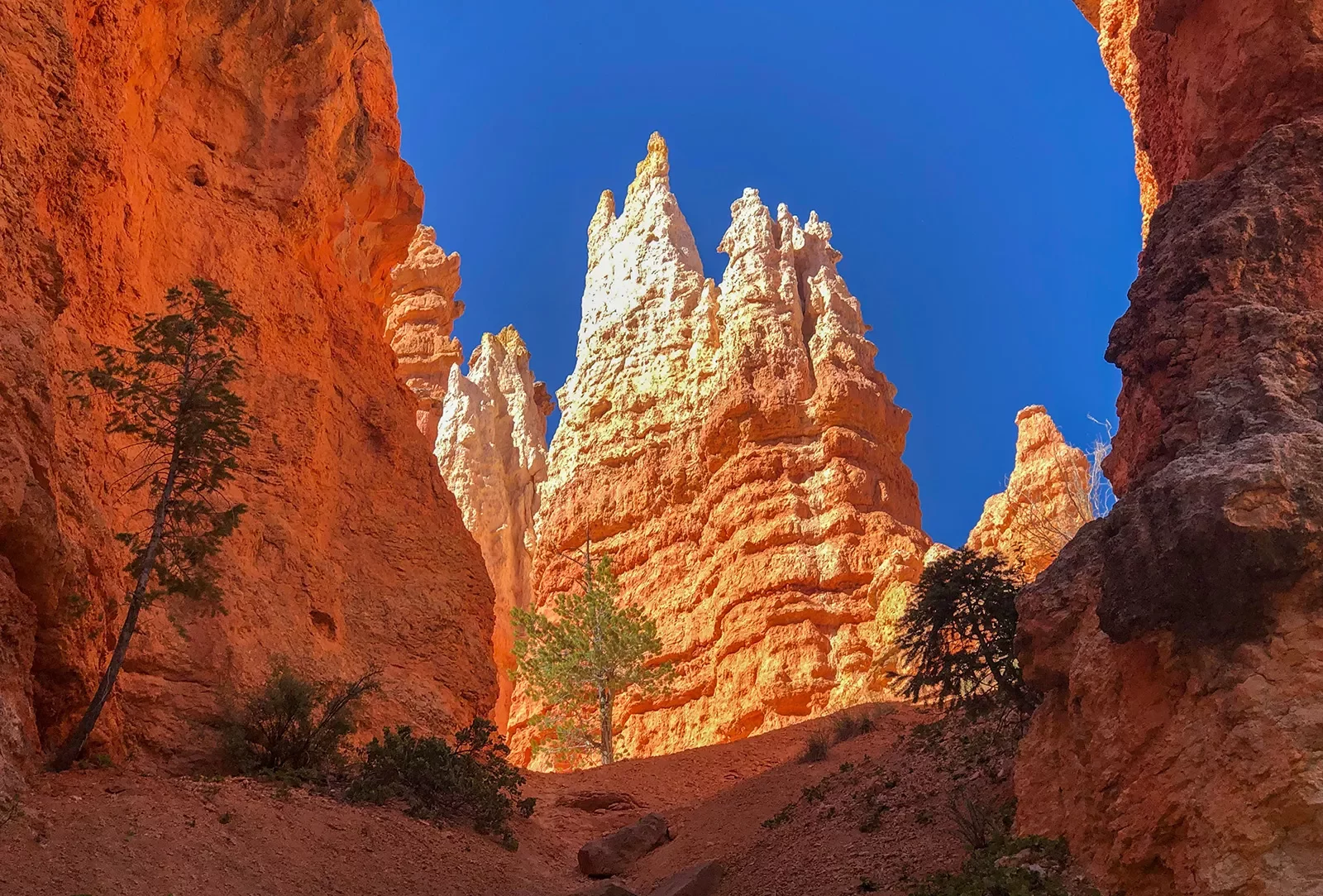 Red rocks and hoodoos in Bryce and Zion National Parks