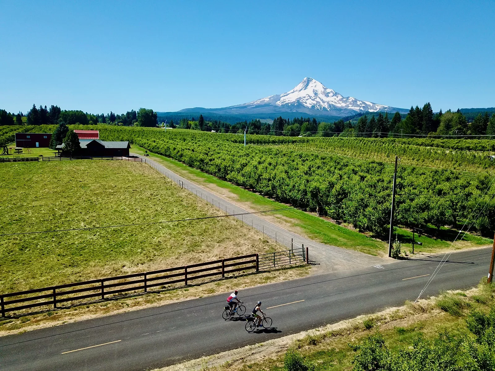 Two guests biking past small farm, Mount Hood in background.