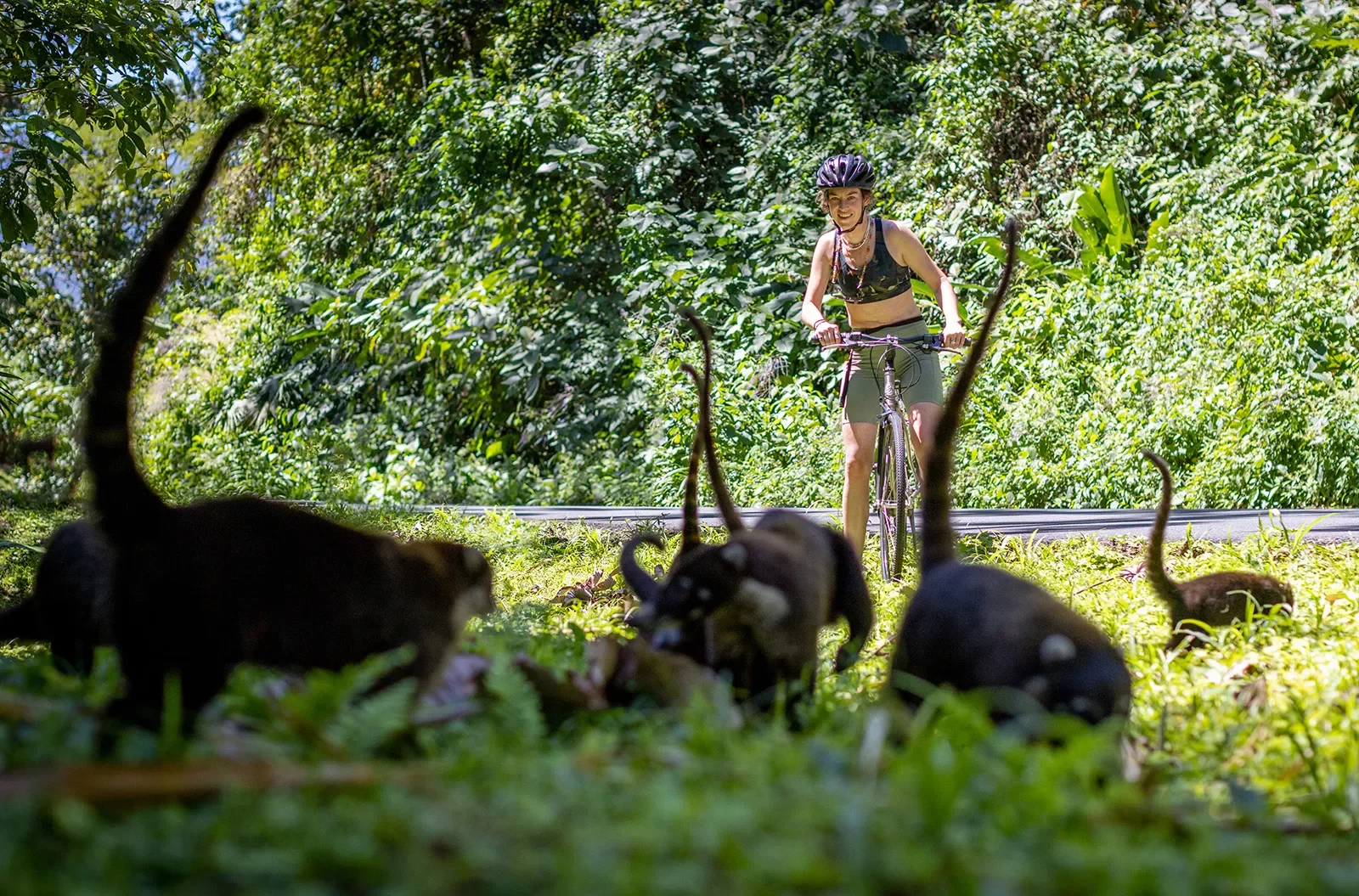 Rider Stopping to See Monkeys Along Side Road Costa Rica