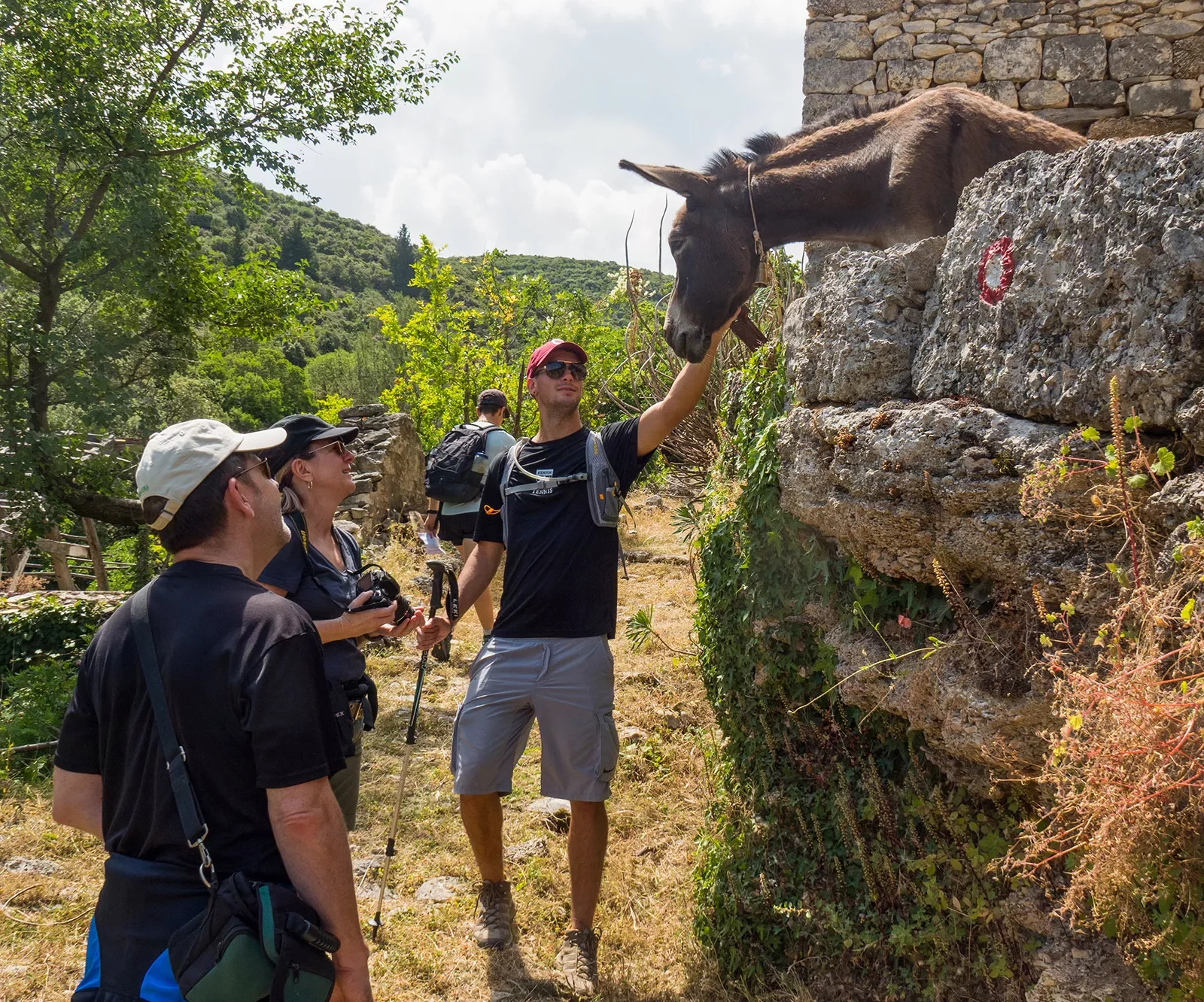 Four guests walking along stone structure, donkey putting head nearby, guest petting it.