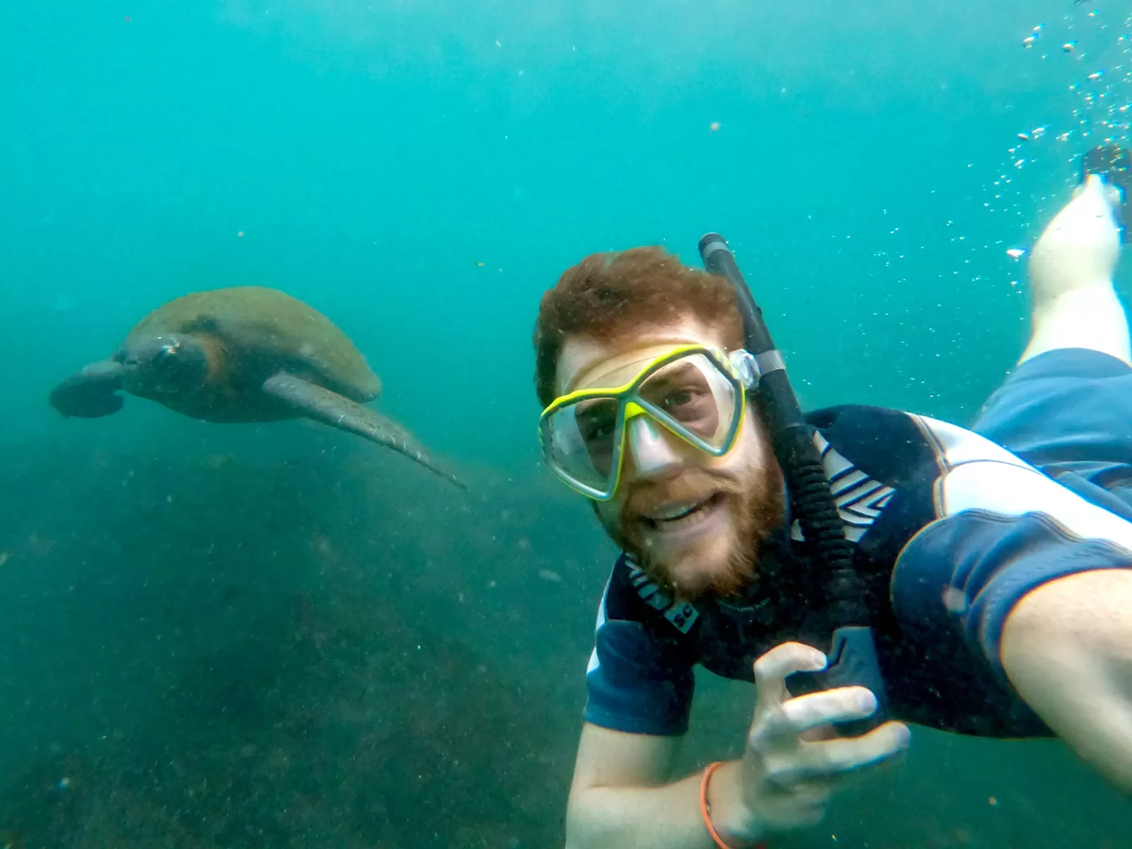 Selfie Turtle Galapagos