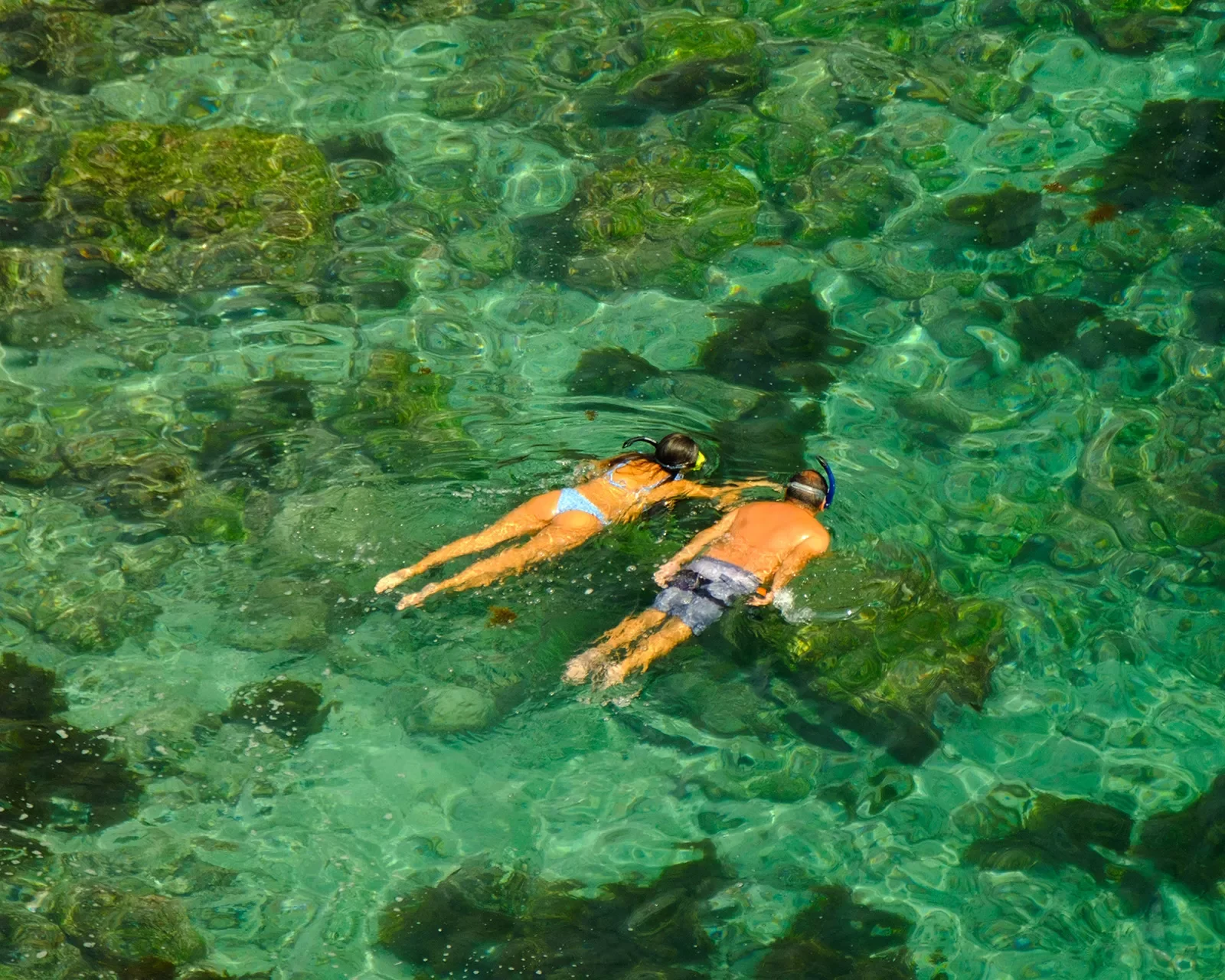 Snorkeling Overhead Galapagos