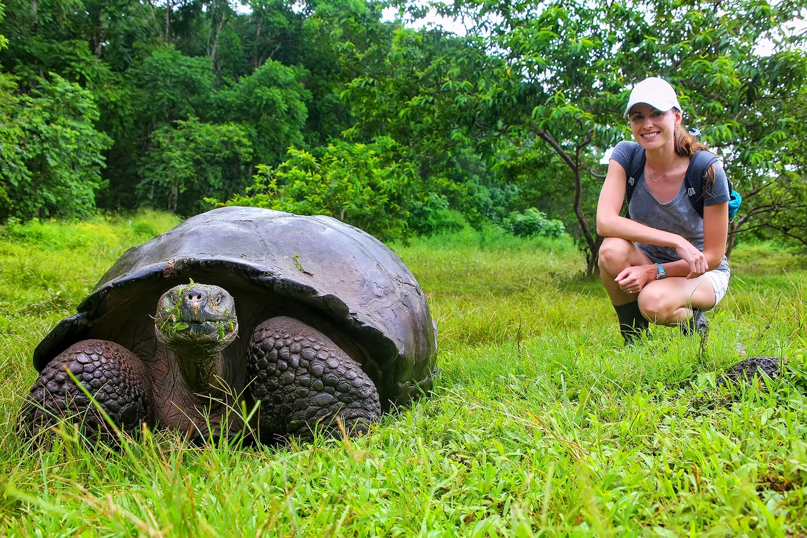 Giant Turtle Guest Kneeling Ecuador