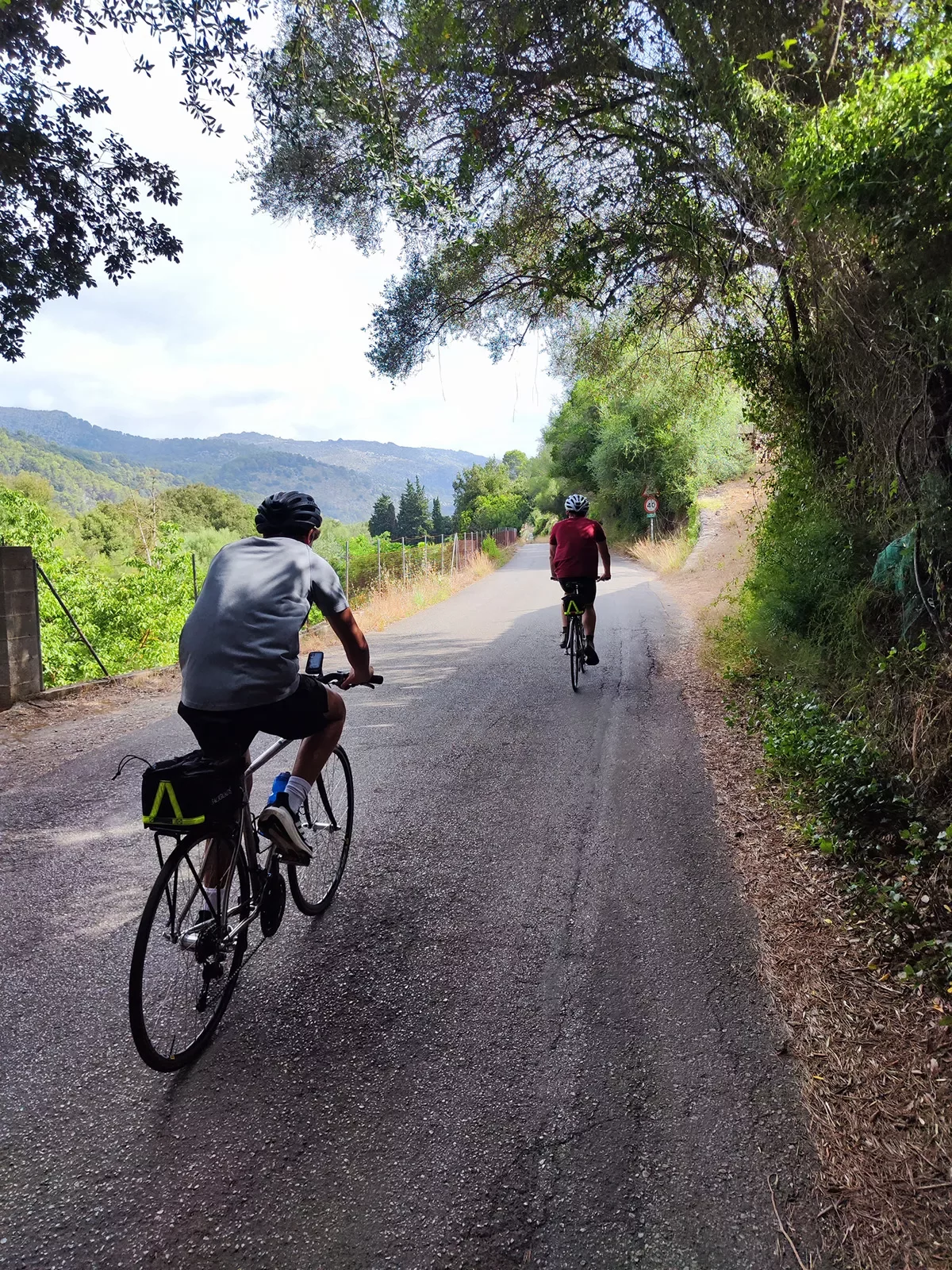 Two guests cycling down tree-covered road, hills in distance.