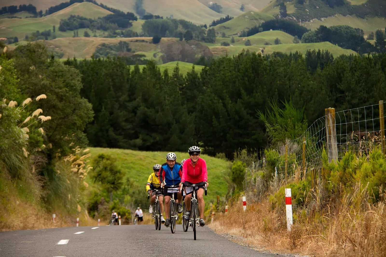 Biking along a road among grassy fields in New Zealand